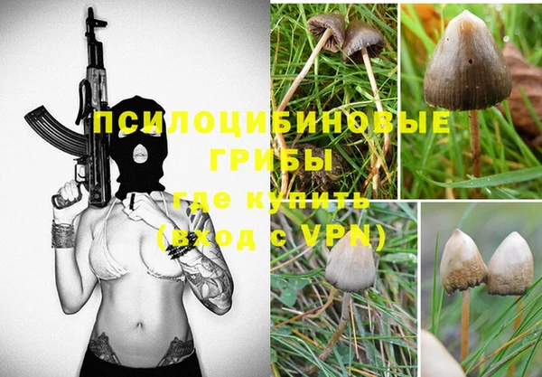 спайс Алзамай
